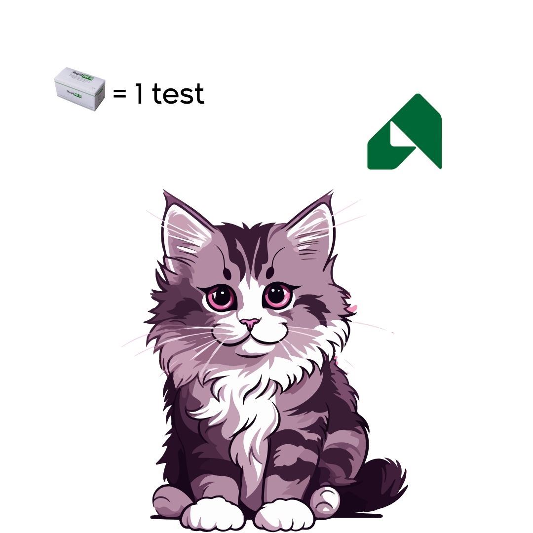 GRUPPO SANGUIGNO DEL GATTO - (test immunocromatografico)